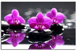 Obraz na stenu ZS - bez pomeru strán